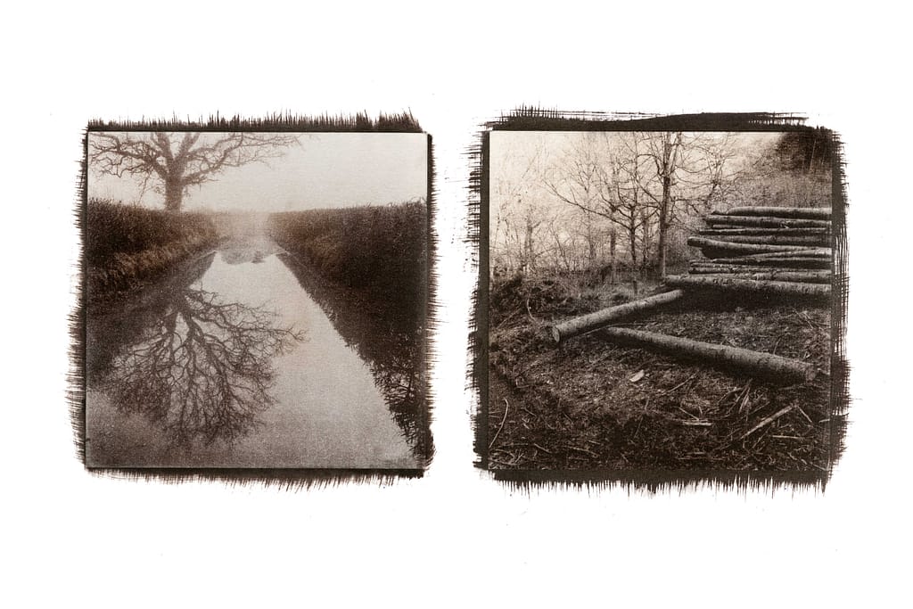 andrew-gilbert-causality andrew-gilbert-causality