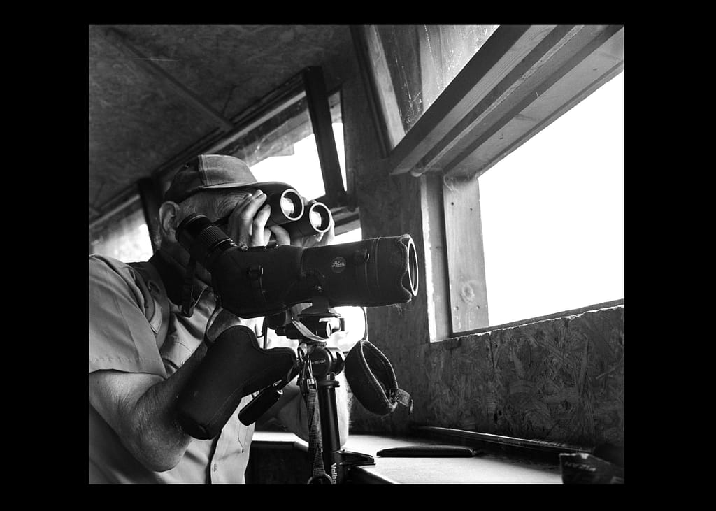 An analogue photograph from The Ornithologists by Brian O'Callaghan An analogue photograph from The Ornithologists by Brian O'Callaghan