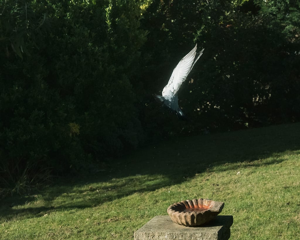 Photograph from 3rd Chapter: Straight On Till Morning