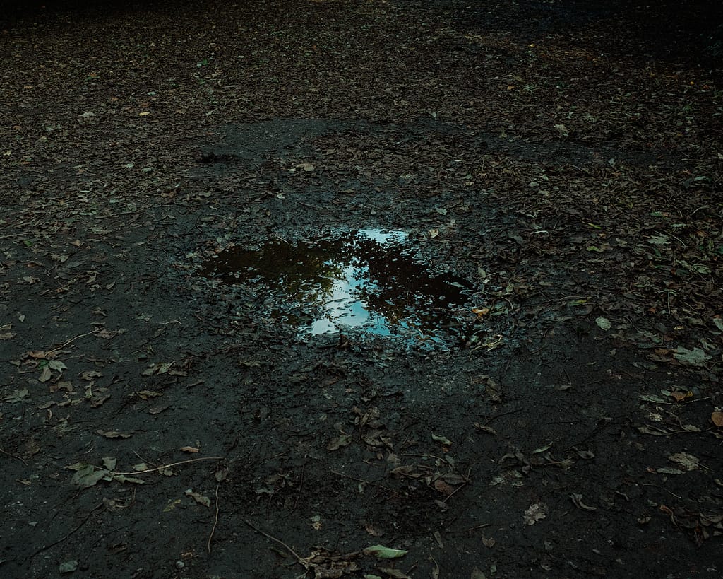 Photograph from 3rd Chapter: Straight On Till Morning